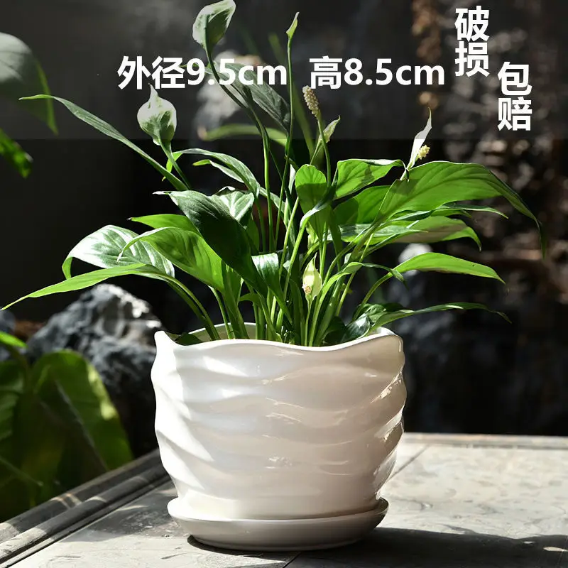High Color Value Ceramic Flower Pot with Tray White Simple Nordic Ins Style Fleshy Flower Pot Internet Celebrity All-match Home Pot