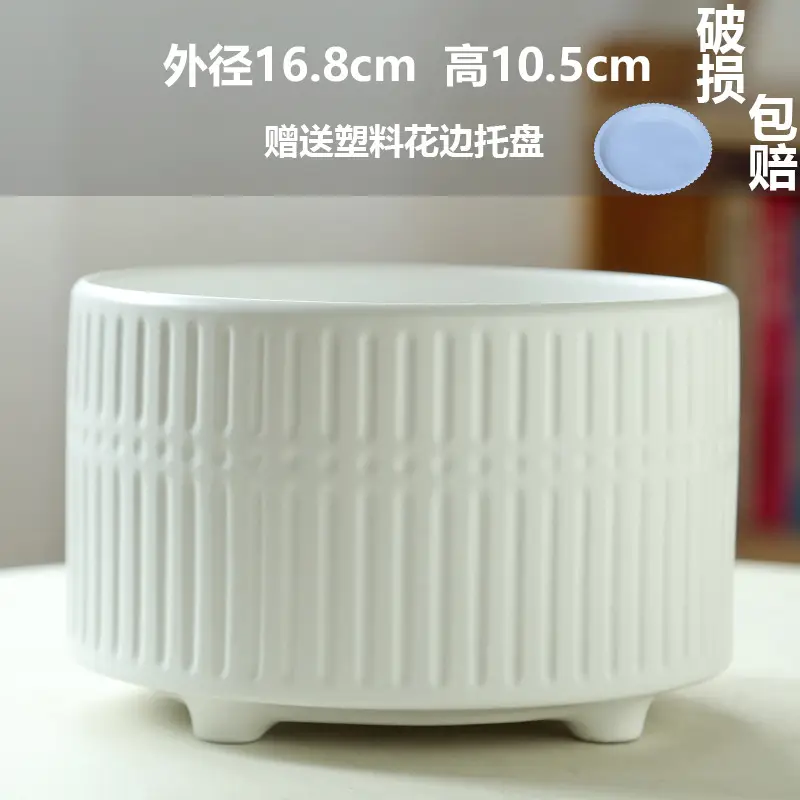 High Color Value Ceramic Flower Pot with Tray White Simple Nordic Ins Style Fleshy Flower Pot Internet Celebrity All-match Home Pot