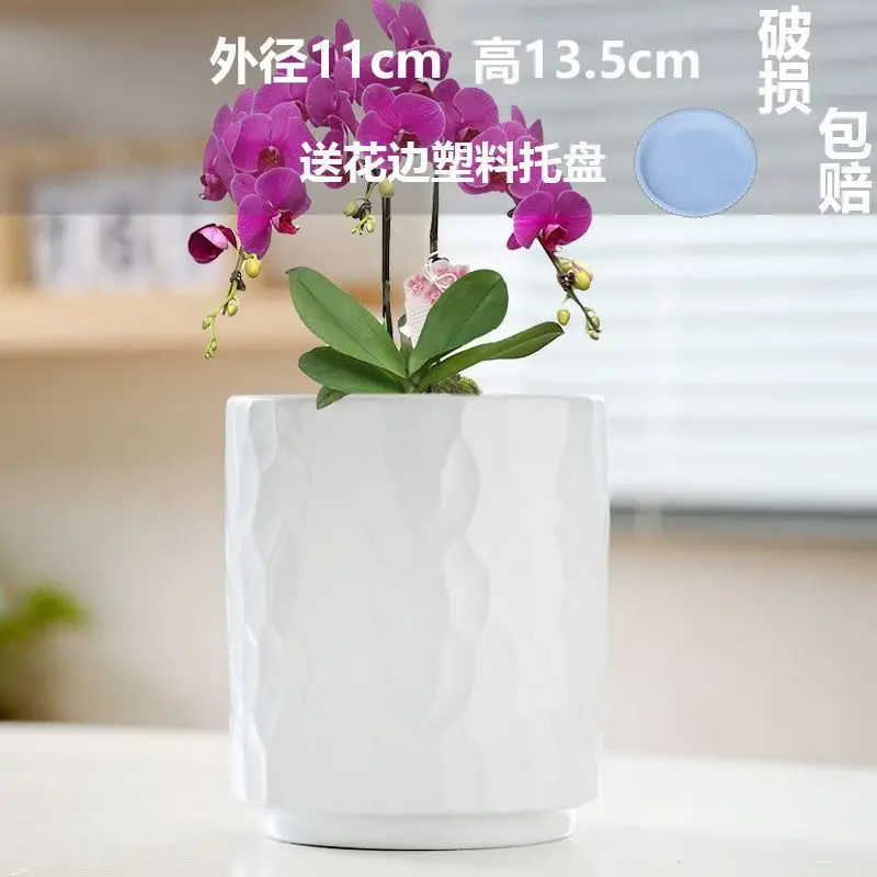 High Color Value Ceramic Flower Pot with Tray White Simple Nordic Ins Style Fleshy Flower Pot Internet Celebrity All-match Home Pot
