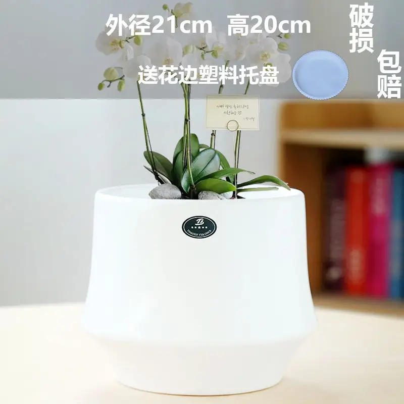 High Color Value Ceramic Flower Pot with Tray White Simple Nordic Ins Style Fleshy Flower Pot Internet Celebrity All-match Home Pot