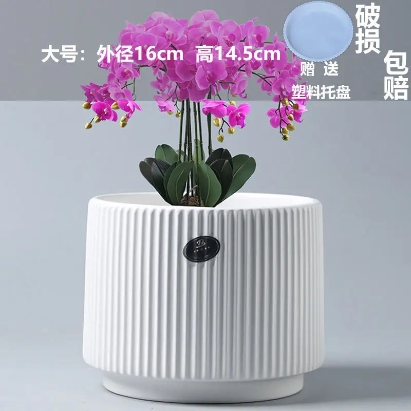 High Color Value Ceramic Flower Pot with Tray White Simple Nordic Ins Style Fleshy Flower Pot Internet Celebrity All-match Home Pot