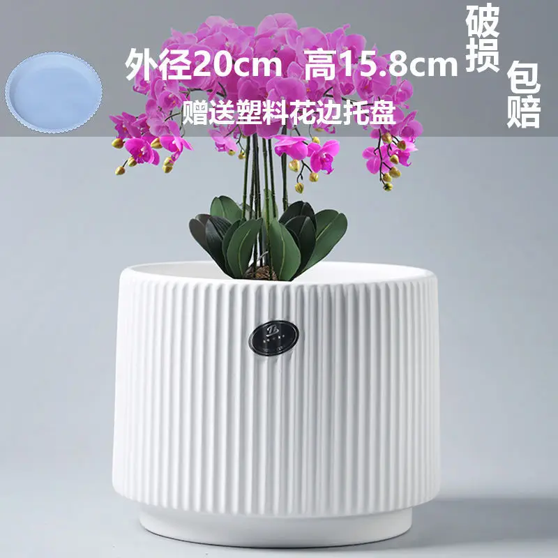 High Color Value Ceramic Flower Pot with Tray White Simple Nordic Ins Style Fleshy Flower Pot Internet Celebrity All-match Home Pot
