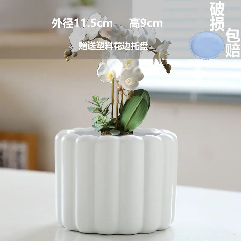 High Color Value Ceramic Flower Pot with Tray White Simple Nordic Ins Style Fleshy Flower Pot Internet Celebrity All-match Home Pot