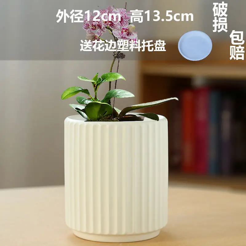 High Color Value Ceramic Flower Pot with Tray White Simple Nordic Ins Style Fleshy Flower Pot Internet Celebrity All-match Home Pot