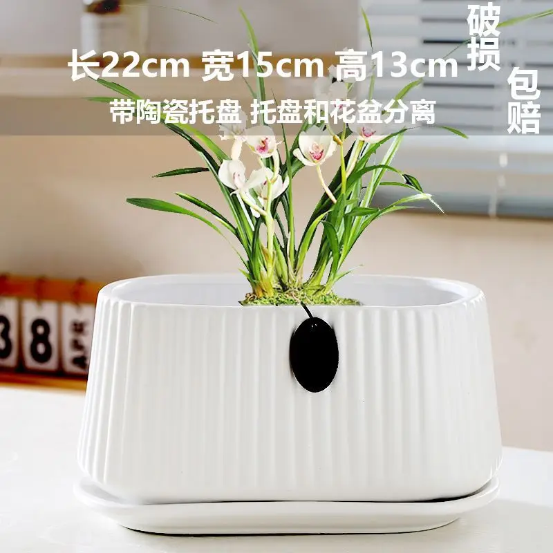 High Color Value Ceramic Flower Pot with Tray White Simple Nordic Ins Style Fleshy Flower Pot Internet Celebrity All-match Home Pot