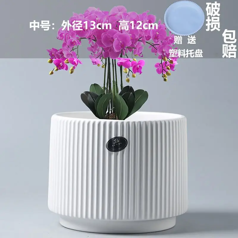 High Color Value Ceramic Flower Pot with Tray White Simple Nordic Ins Style Fleshy Flower Pot Internet Celebrity All-match Home Pot