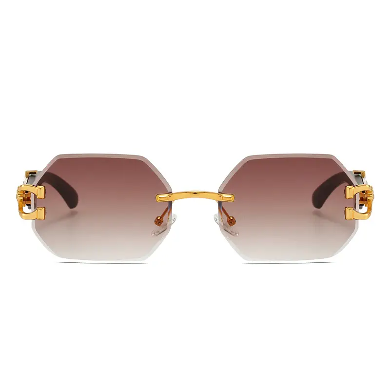 Leopard Head Sunglasses European American Fashion Retro Trendy — feature 11