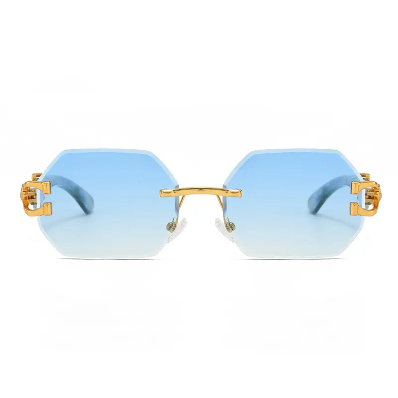 Leopard Head Sunglasses European American Fashion Retro Trendy — feature 7