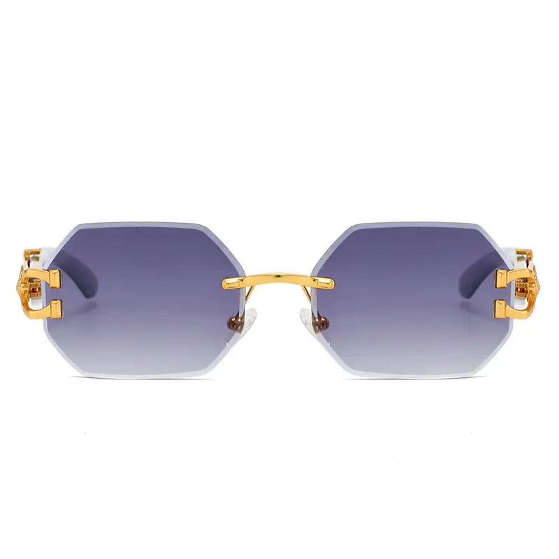 Leopard Head Sunglasses European American Fashion Retro Trendy — feature 8