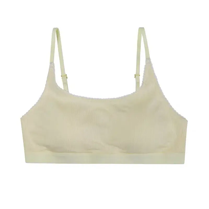 2024 Cotton Lace Underwear Women Small Chest Back Bra - Image 2