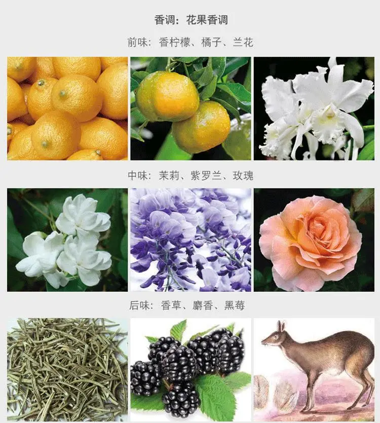 描述6.jpg