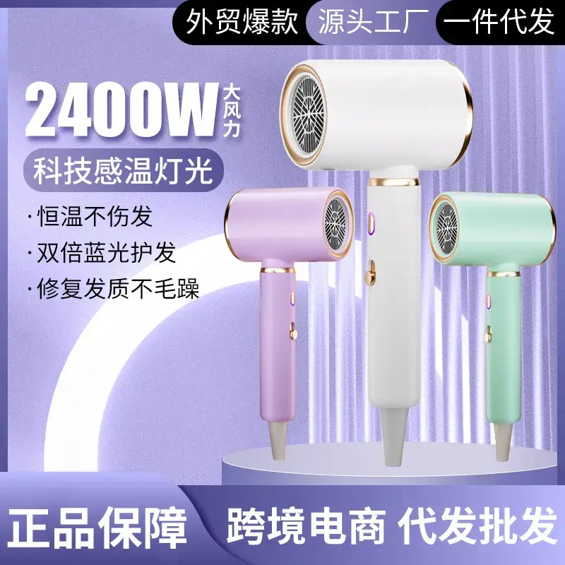 2400W Negative Ion Hair Dryer for Salon & Student Use - Image 14