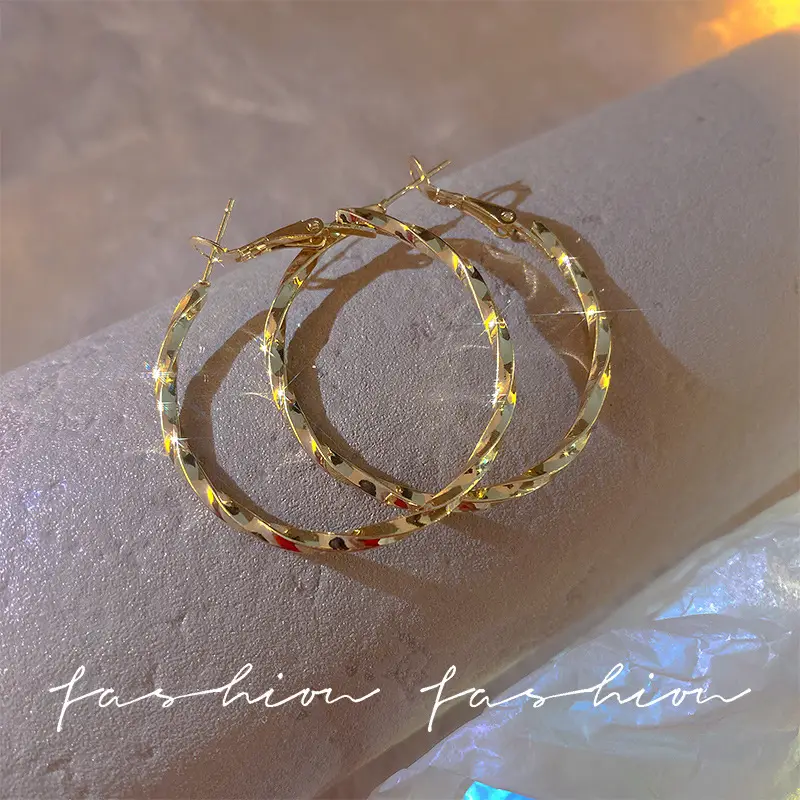 S925 silver needle European and American exaggerated plain ring earrings women's high-end light luxury Joker simple temperament earrings wholesale