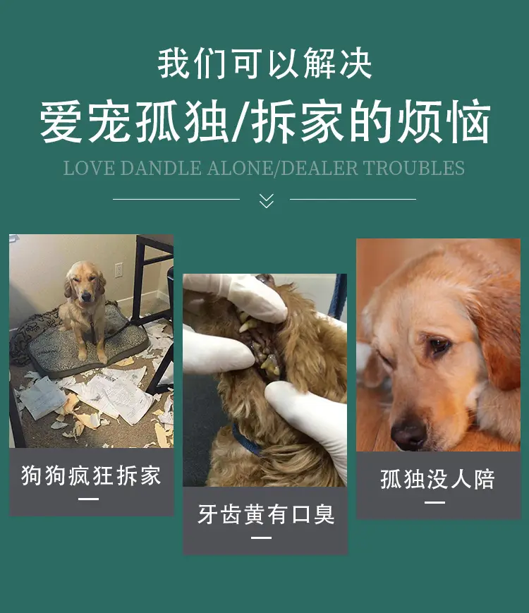 Pet Toys, Dog Sound-Making Toys, Bite-Resistant Interactive Toys, Durable Chew Toys, Boredom-Relief Training Pet Supplies, Wholesale from Manufacturers — feature 10