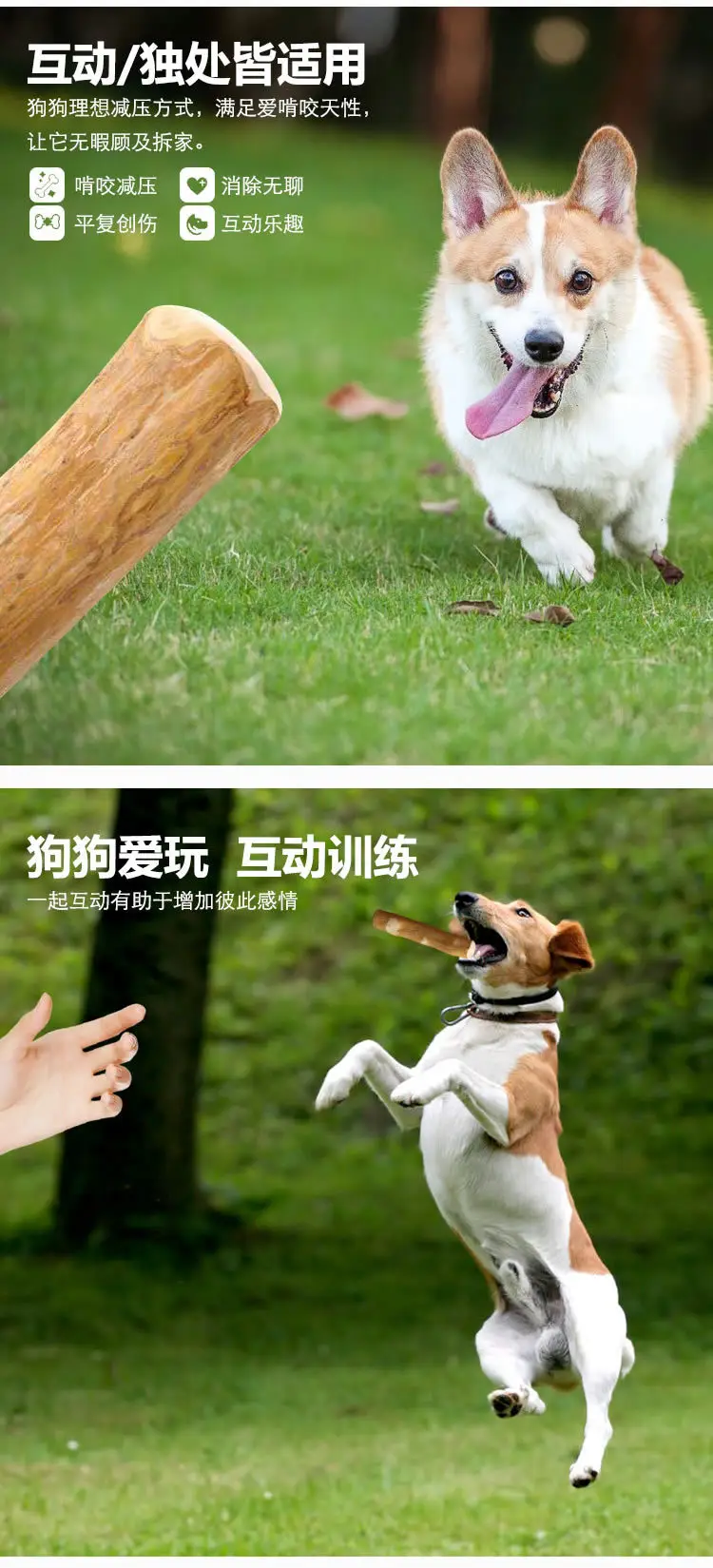 Selected Dog Molar Sticks, Bite-Resistant, Relieve Boredom, Remove Bad Breath, Clean Teeth, Prevent Disassembly, Home Toys, Natural Coffee Wood, Foreign Trade Wholesale — feature 5