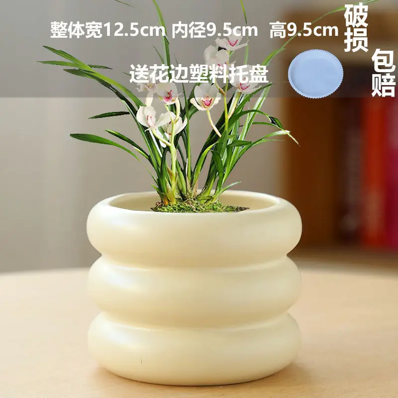 Ceramic Flower Pot Household Donut Potted Plant Exquisite White Ins Style Entry Luxury Creative Cream Style Phalaenopsis Special