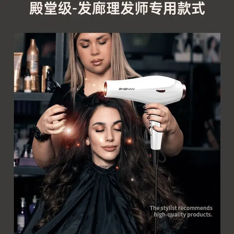 High Power Hair Dryer Black for Home Salon Use