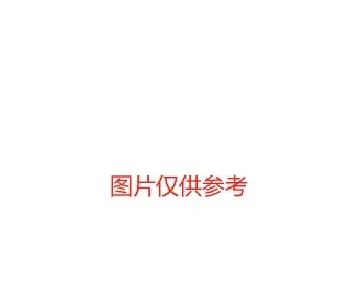 微信截图_20250304170743