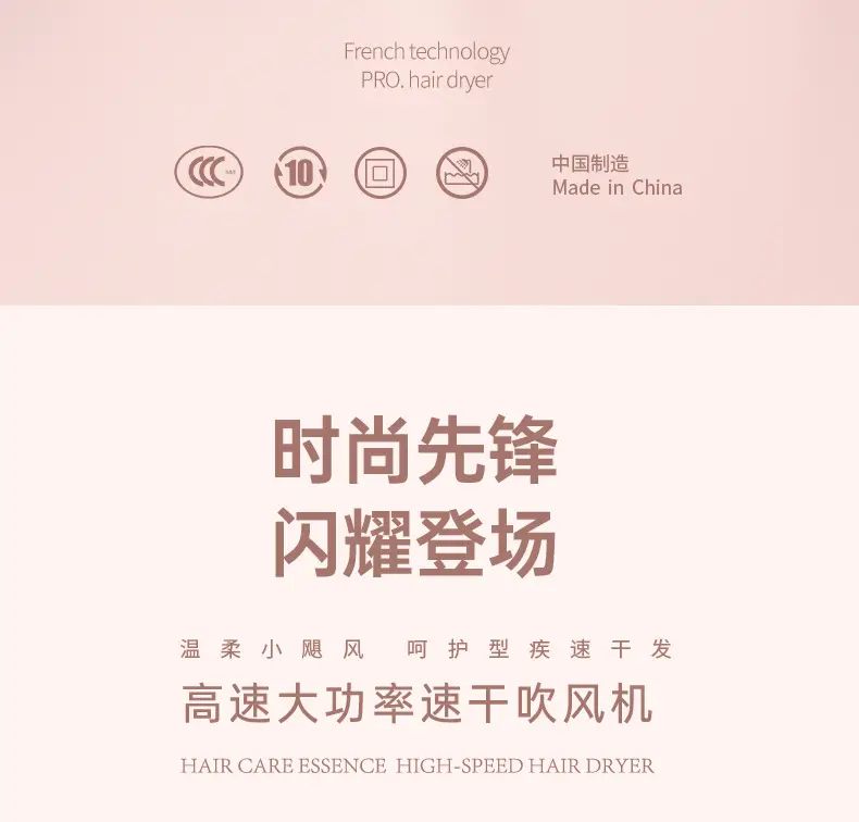 Cross-Border Negative Ion Hair Dryer High Power Salon Portable Brushless High Speed Constant Temp — feature 3