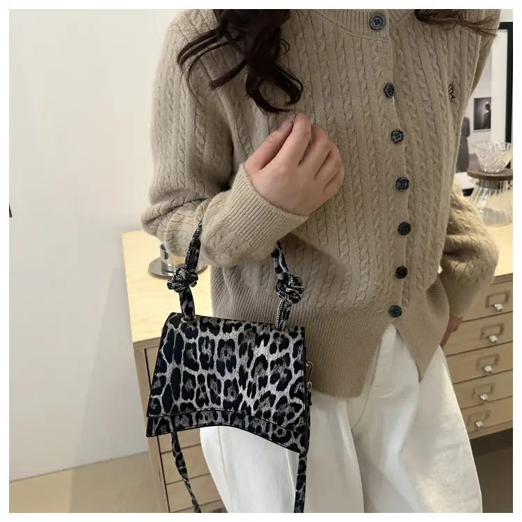 Leopard Print Women's Shoulder Crossbody Bags 2024 — feature 18