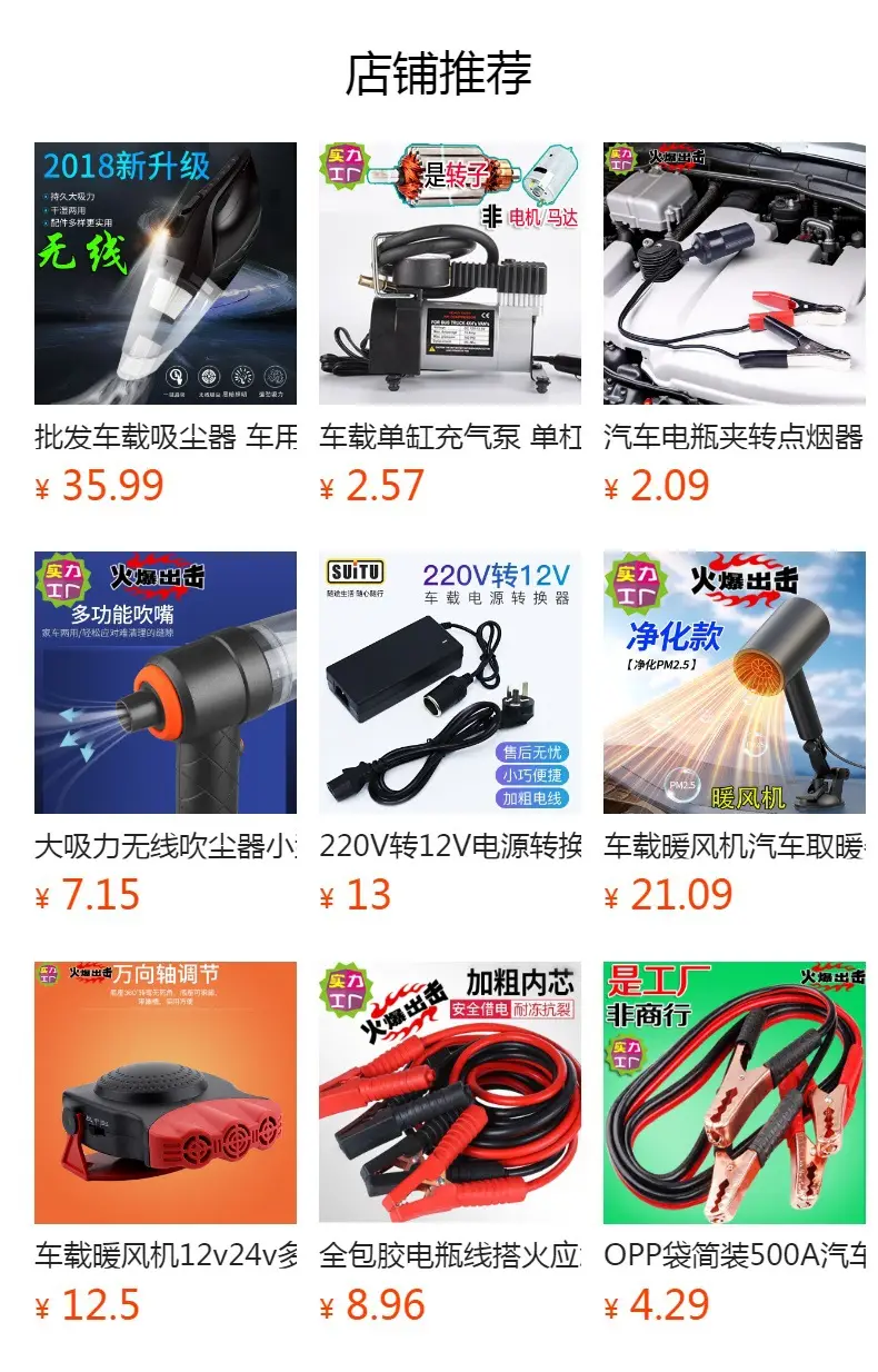 Universal Car Inverter Charger 24V 110V Multi Function — feature 1