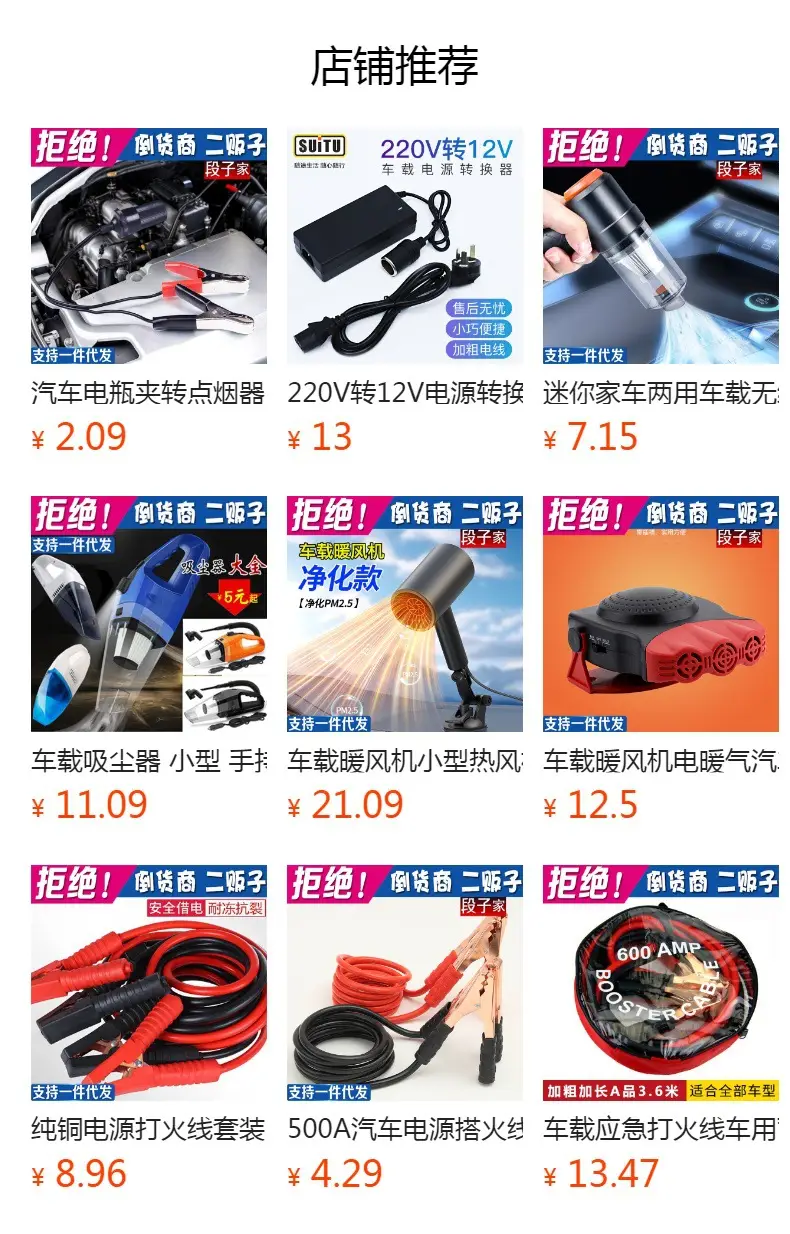 Universal Car Inverter Charger 12-24V 110V Multi Function — feature 1