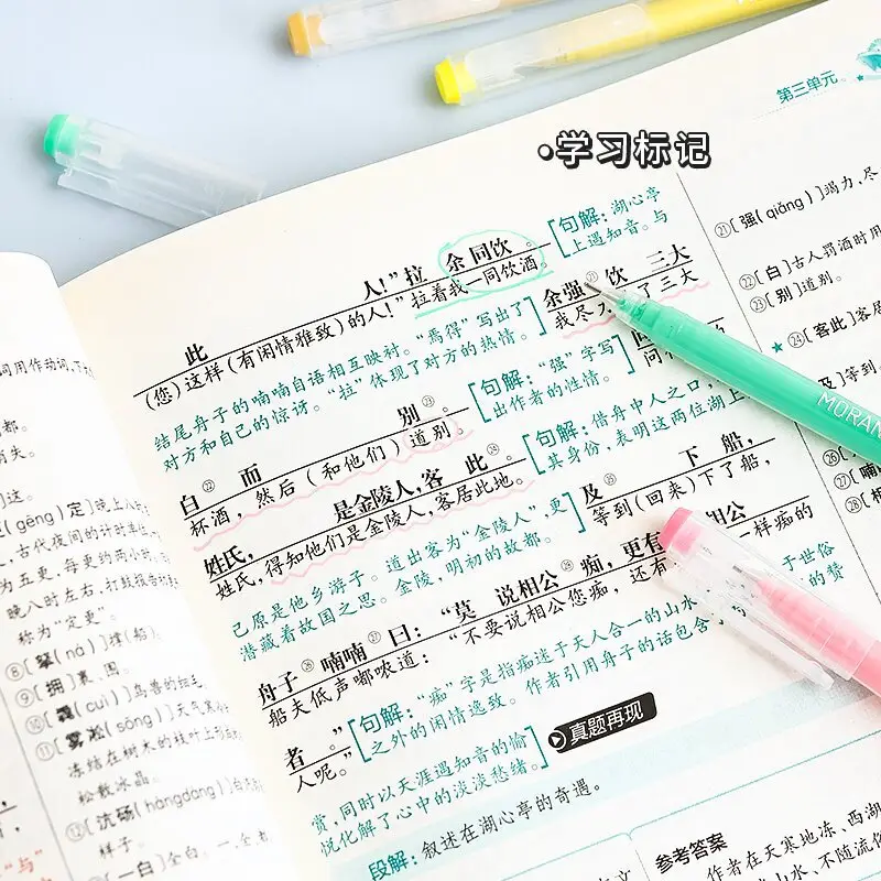Blue Fruit Handwriting Pen High Color Value Large Capacity Note-taking Morandi Color Mark Pen Color Gel Pen