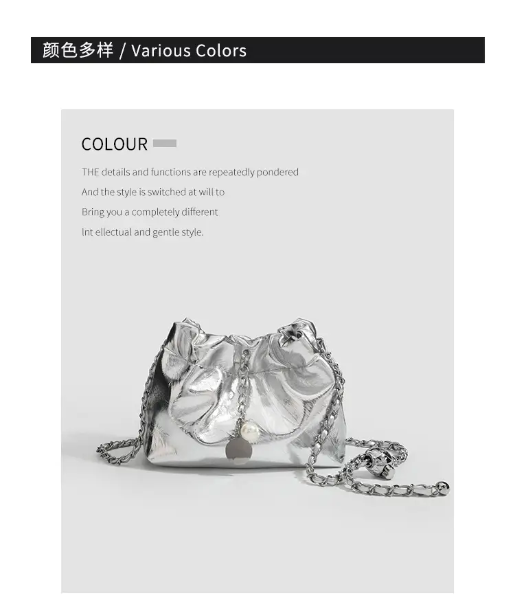 2026 Silver Pleated Cloud Bag with Chain Crossbody — feature 14
