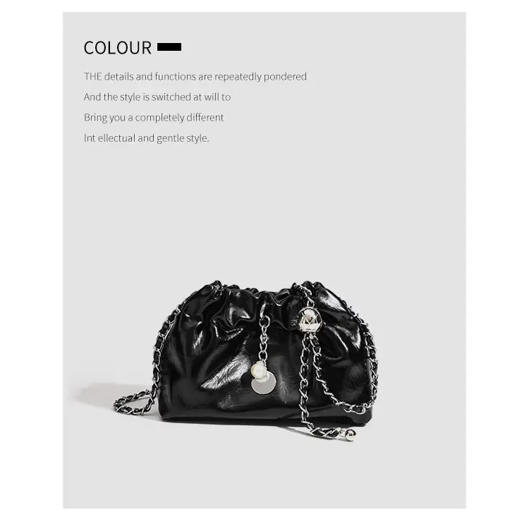 2026 Silver Pleated Cloud Bag with Chain Crossbody — feature 15