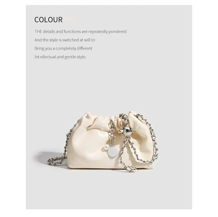 2026 Silver Pleated Cloud Bag with Chain Crossbody — feature 16