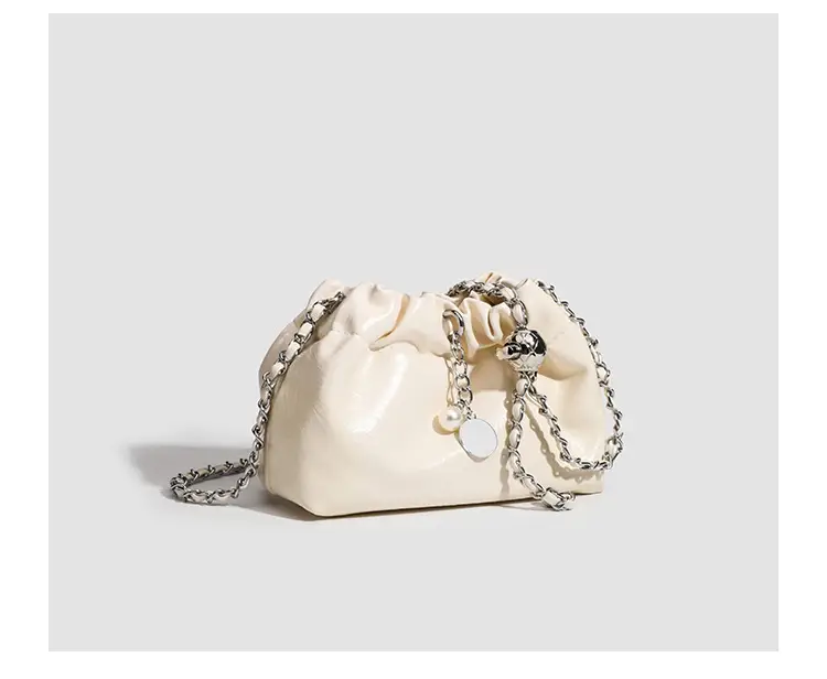 2026 Silver Pleated Cloud Bag with Chain Crossbody — feature 24