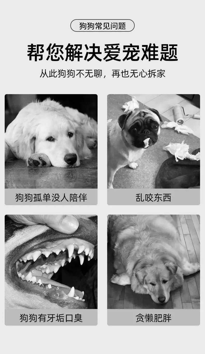 Pet Toys Bite-resistant Dog Plush Toys Bite-resistant Molar Teeth Cleaning Dog Toys Bite-resistant Beggar Bear Dog Toys — feature 3