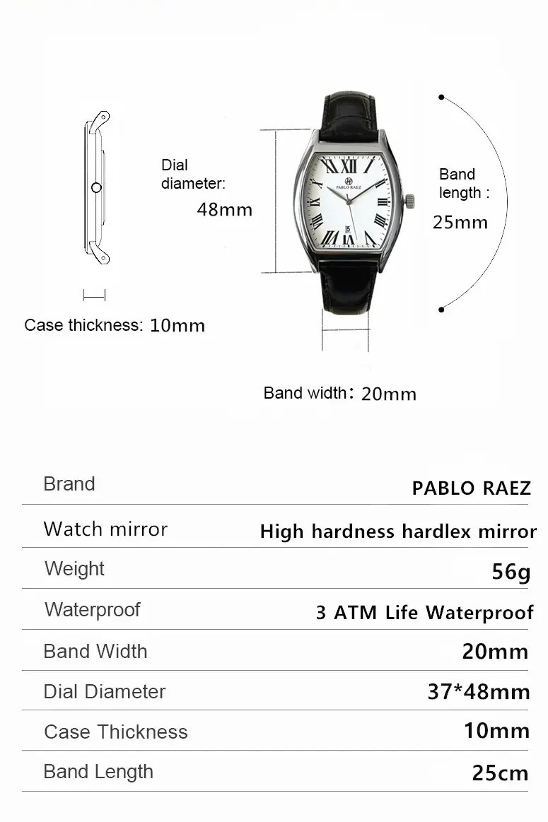 Men's Stainless Steel Swiss Watch with Roman Numeral — feature 28