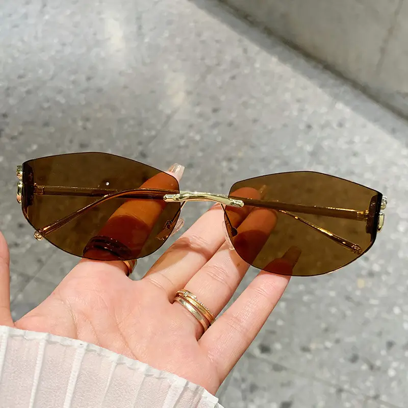 Fashion Cat's Eye Ocean Sunglasses New Leopard Head Metal Trim Cross-Border - Image 10