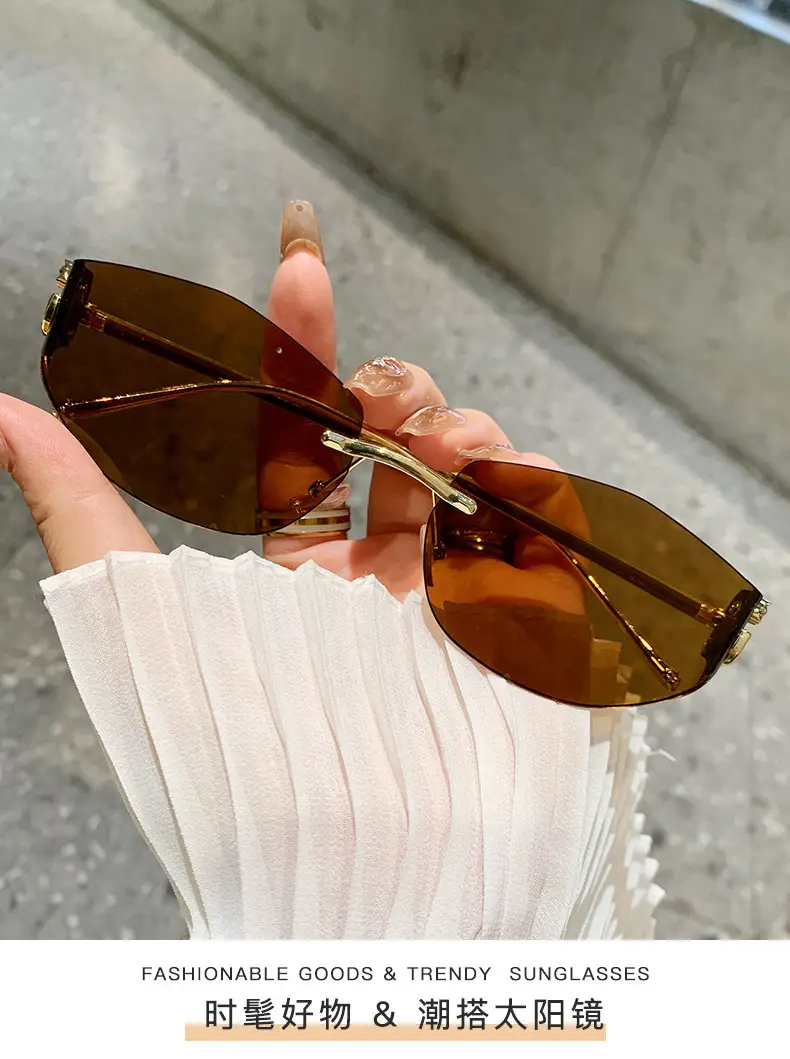 Fashion Cat's Eye Ocean Sunglasses New Leopard Head Metal Trim Cross-Border — feature 11