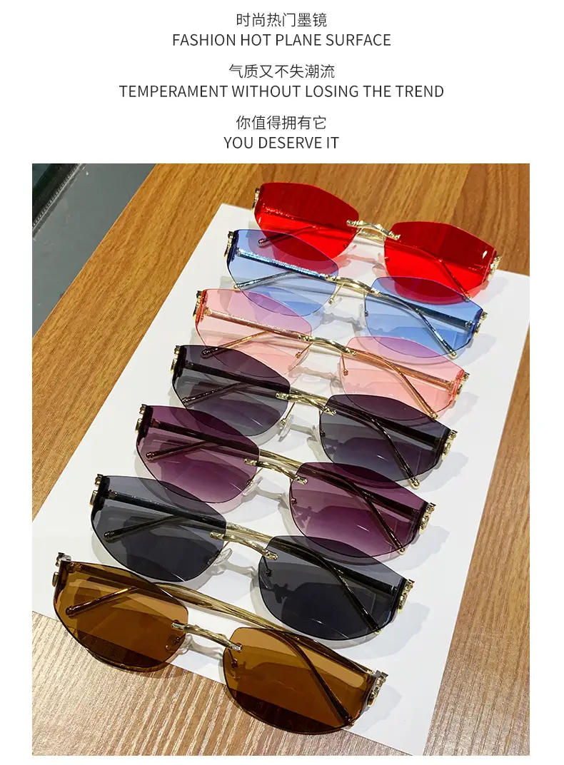Fashion Cat's Eye Ocean Sunglasses New Leopard Head Metal Trim Cross-Border — feature 12