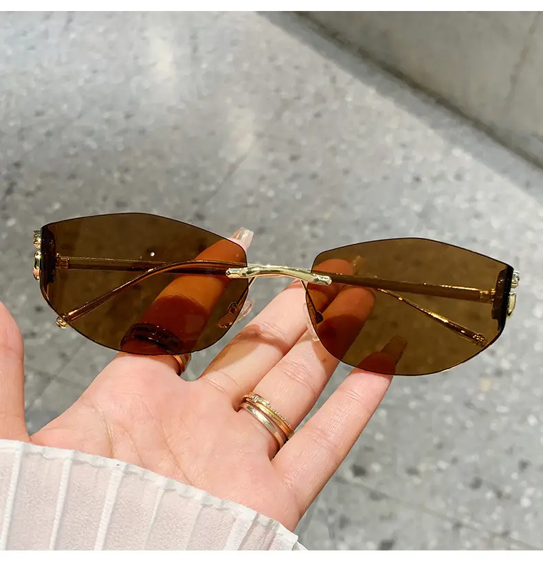 Fashion Cat's Eye Ocean Sunglasses New Leopard Head Metal Trim Cross-Border — feature 13