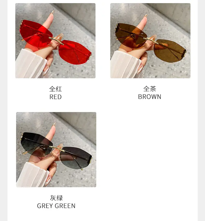 Fashion Cat's Eye Ocean Sunglasses New Leopard Head Metal Trim Cross-Border — feature 17