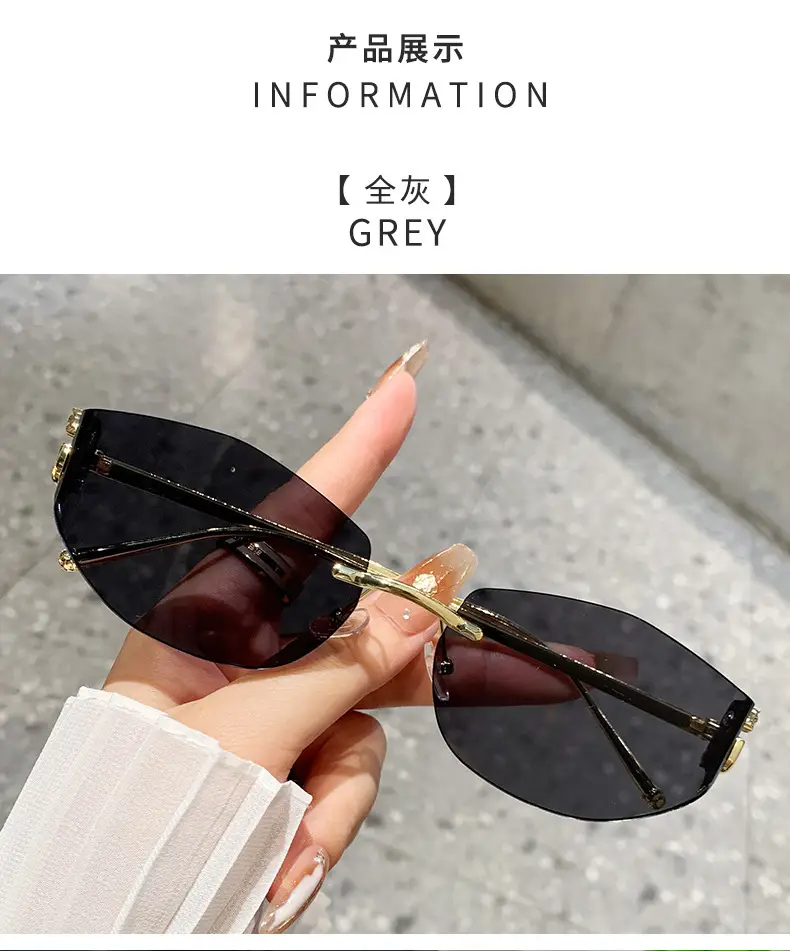 Fashion Cat's Eye Ocean Sunglasses New Leopard Head Metal Trim Cross-Border — feature 18