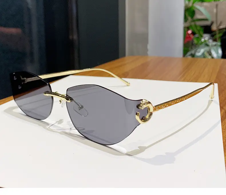 Fashion Cat's Eye Ocean Sunglasses New Leopard Head Metal Trim Cross-Border — feature 19