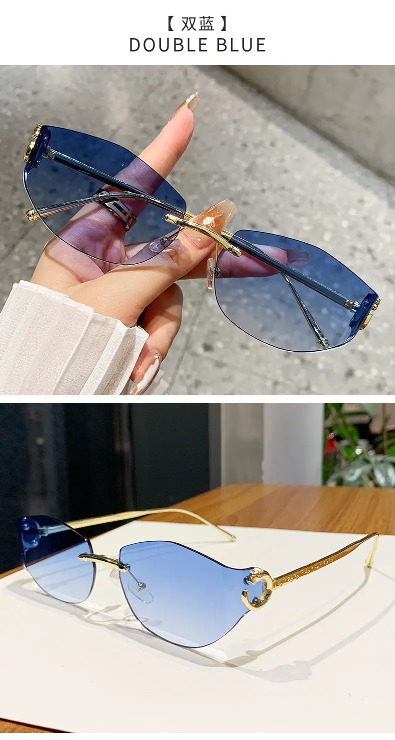 Fashion Cat's Eye Ocean Sunglasses New Leopard Head Metal Trim Cross-Border — feature 21