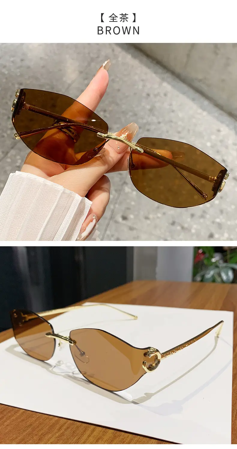 Fashion Cat's Eye Ocean Sunglasses New Leopard Head Metal Trim Cross-Border — feature 24