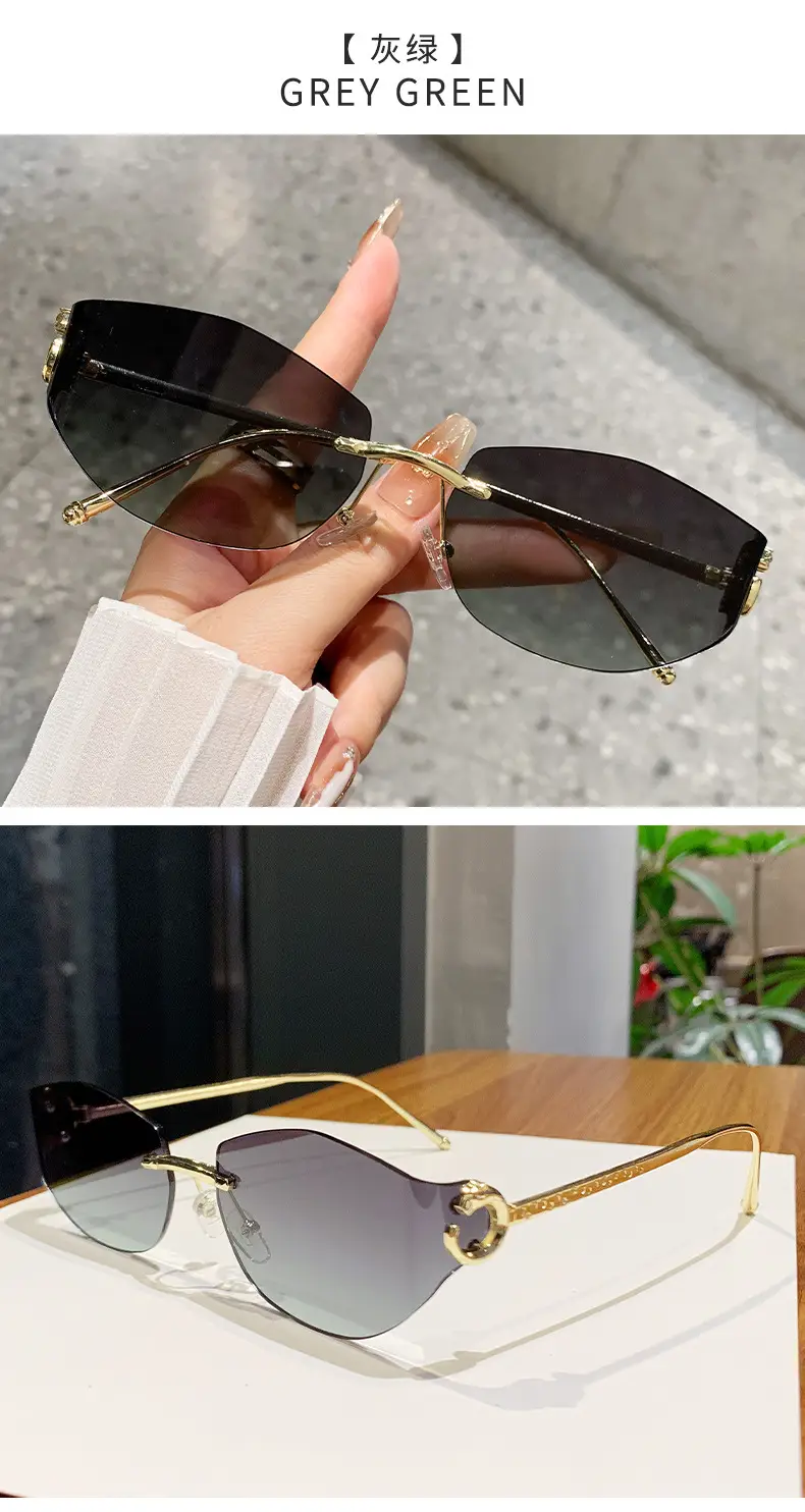 Fashion Cat's Eye Ocean Sunglasses New Leopard Head Metal Trim Cross-Border — feature 25