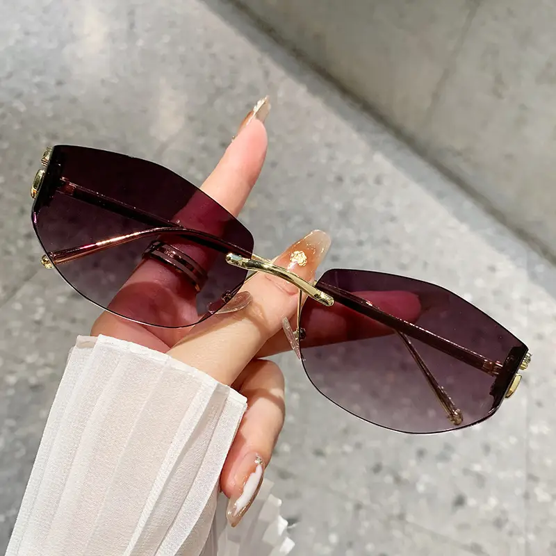 Fashion Cat's Eye Ocean Sunglasses New Leopard Head Metal Trim Cross-Border - Image 4