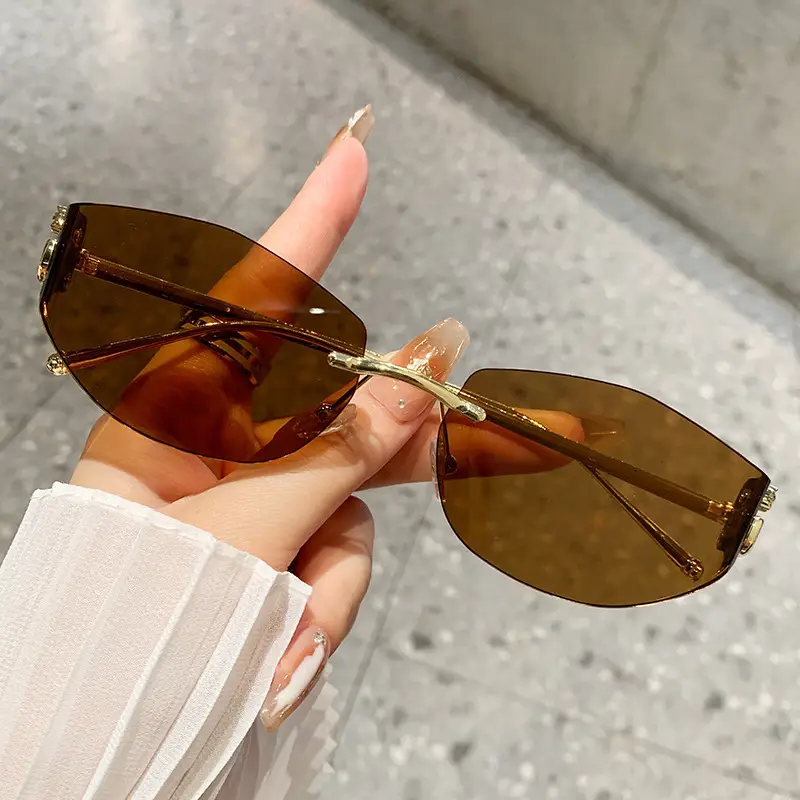 Fashion Cat's Eye Ocean Sunglasses New Leopard Head Metal Trim Cross-Border - Image 6