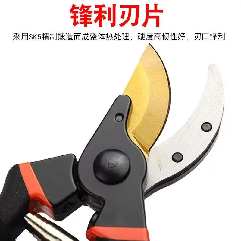 Gardening Scissors Wholesale Fruit Tree Pruning Shears Garden Thick Branch Shears for Cutting Branches Flower Pruning Shears for Picking Fruit