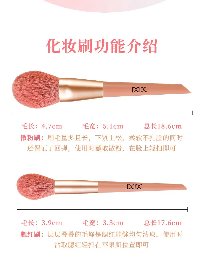 Xixi 11-Piece Makeup Brush Set for Beginners — feature 6