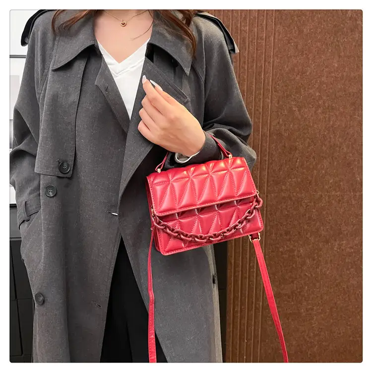 French Acrylic Chain Commuter Bag for Women — feature 18
