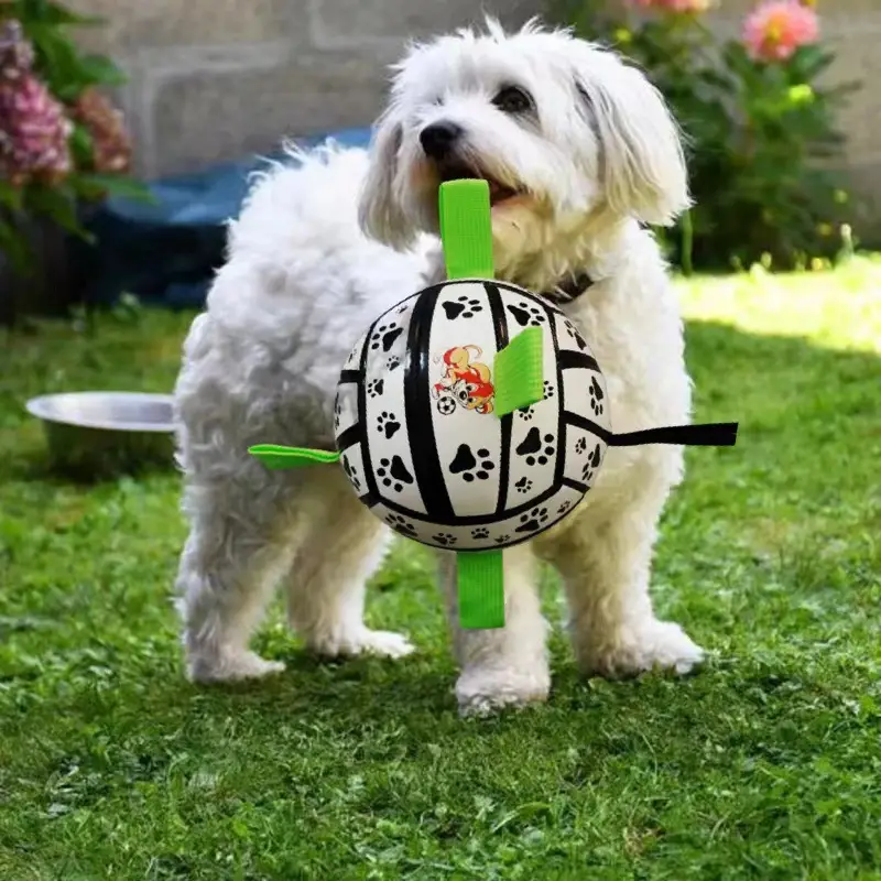 Factory wholesale dog football pet toy molars bite-resistant small football outdoor sports training bite toys — feature 1