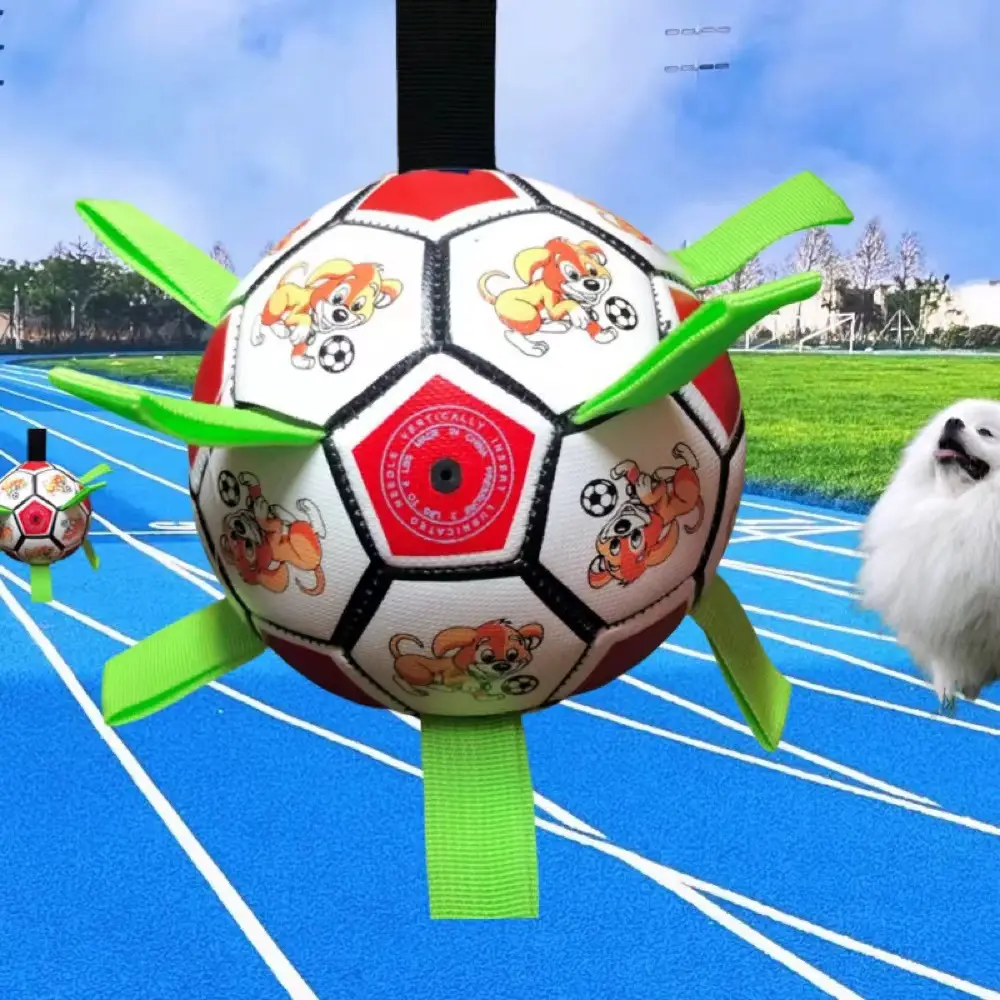 Factory wholesale dog football pet toy molars bite-resistant small football outdoor sports training bite toys — feature 2